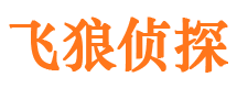 金川市侦探调查公司